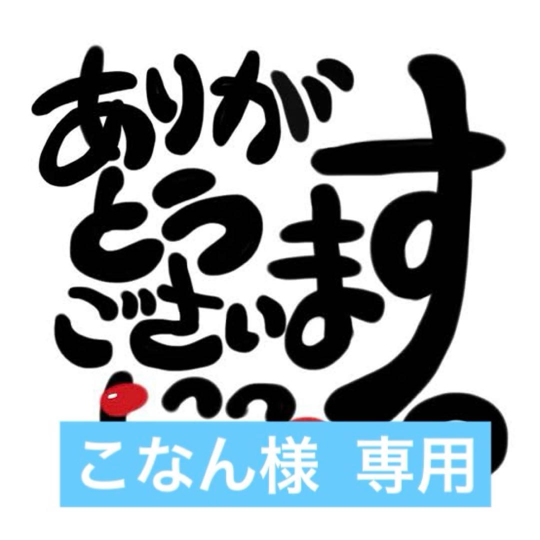 希少Brompton× ORTLIEB オルトリーブミニOバッグ ブラック