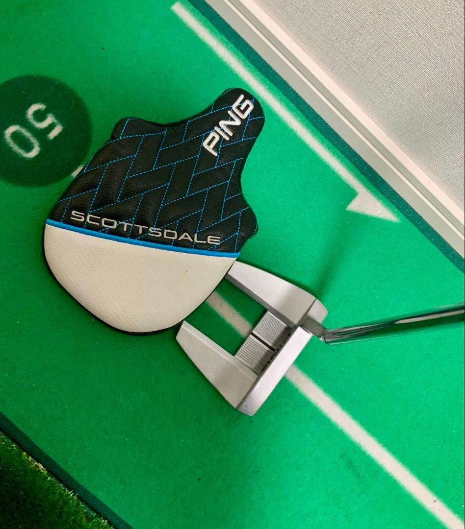 ピンSIGMA2 TYNE4 プラチナム　特注カスタム品