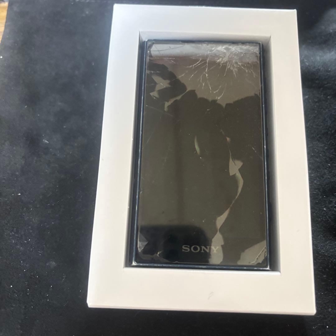 WALKMAN NW-A306 箱あり