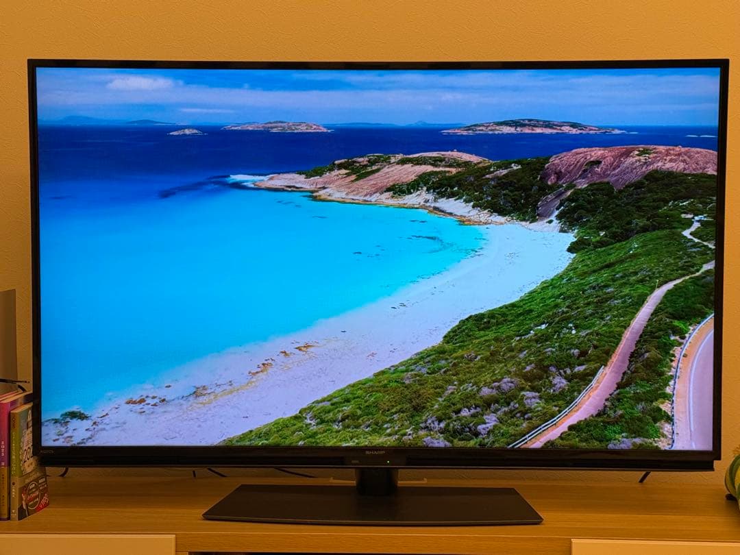 【美品】SHARP 50インチ 液晶テレビ 4T-C50BL1