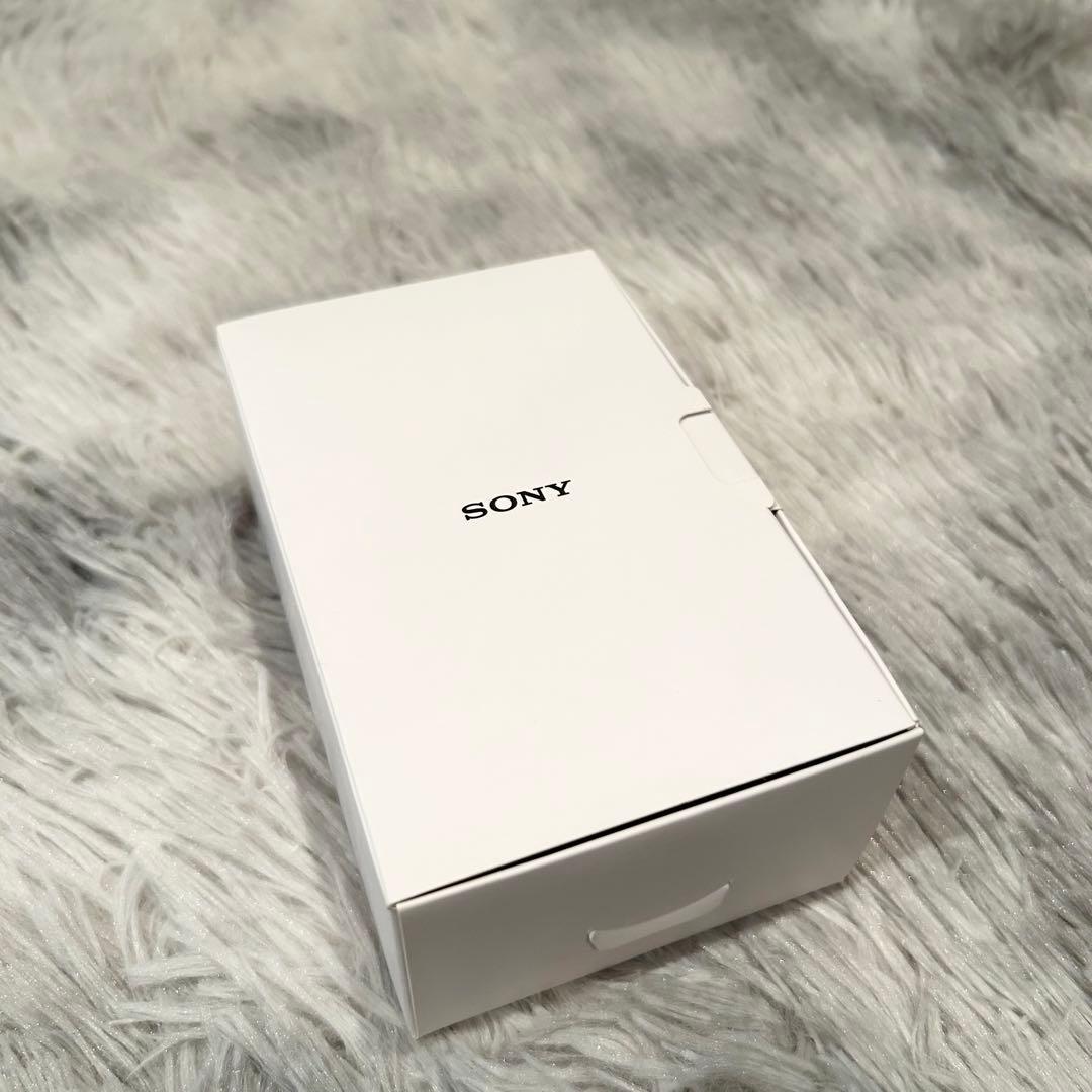 【極美品】 ソニー ウォークマン Aシリーズ NW-A45HN 　SONY
