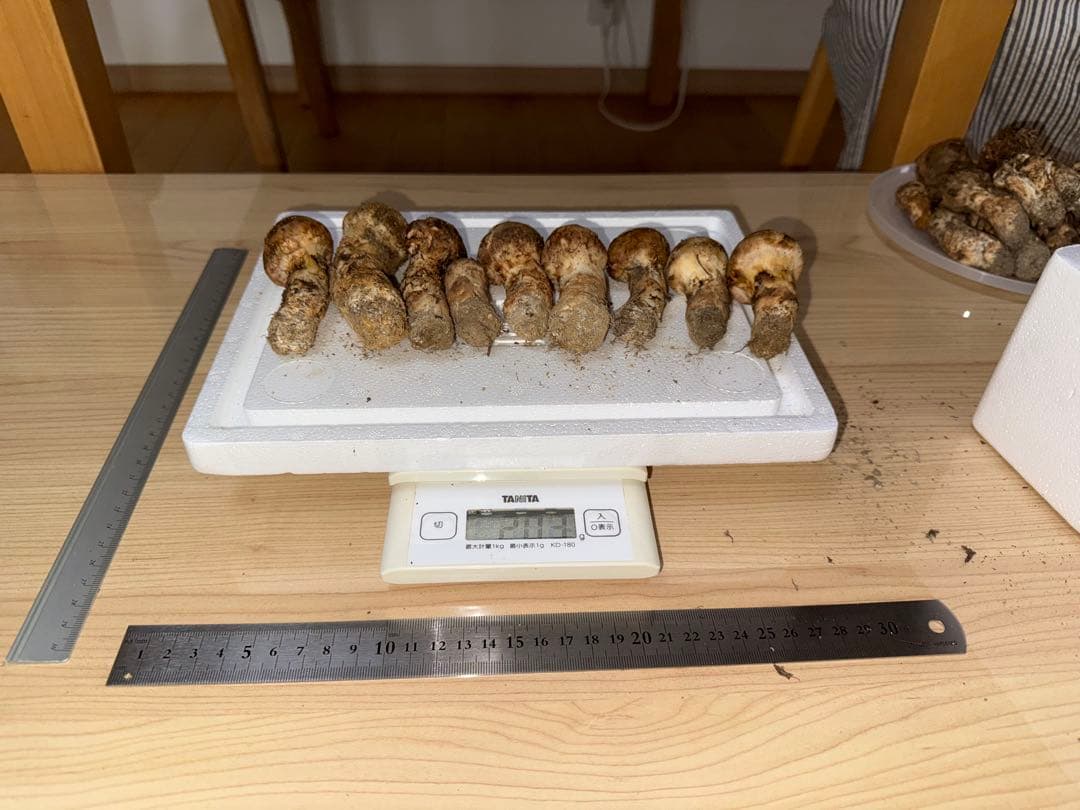 10月14日朝採れ　広島県産松茸つぼみ　203g
