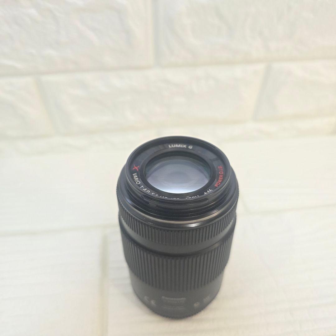 387】Panasonic LUMIX G 45-175mm H-PS45175