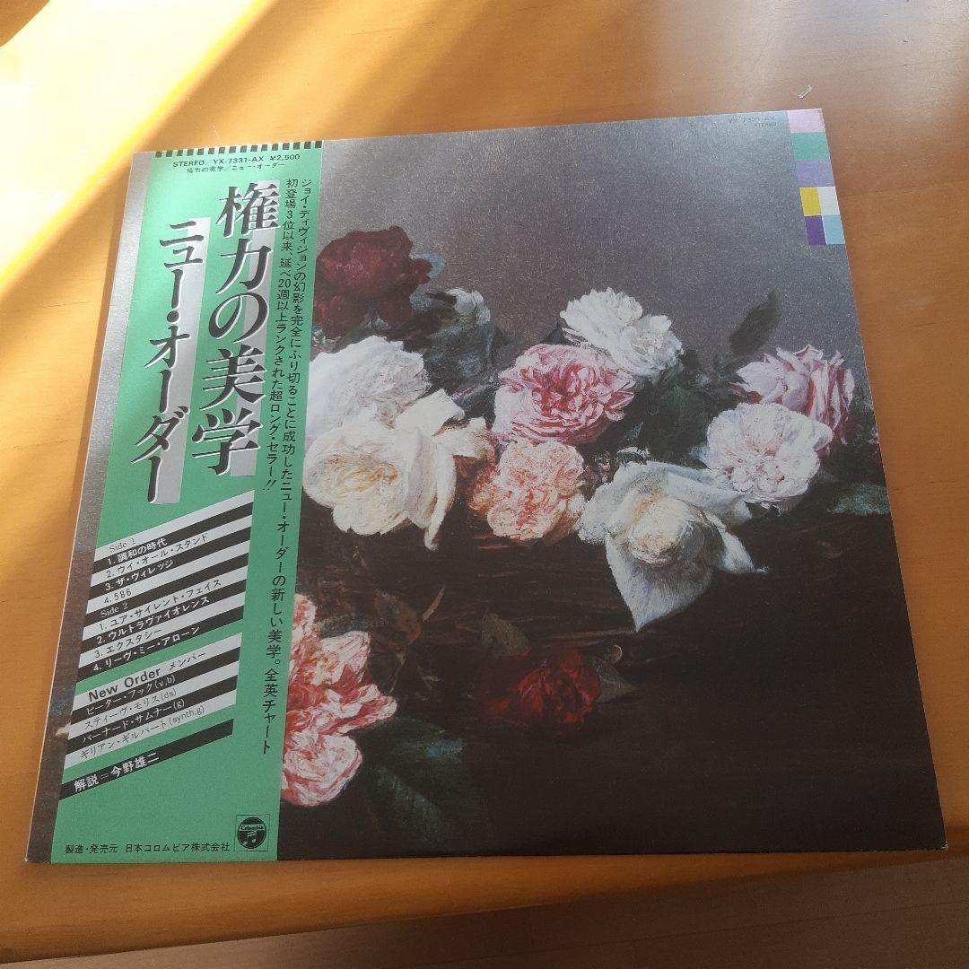 ニュー・オーダー 権力の美学 レコード　new order