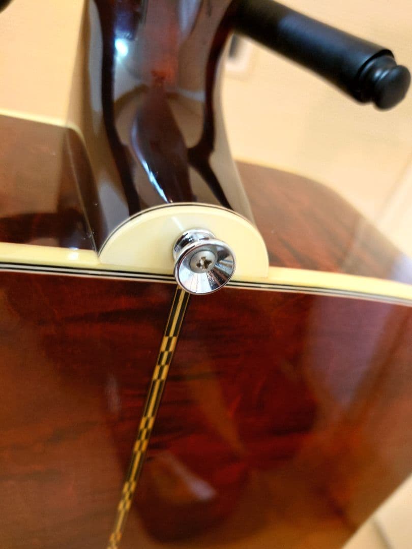 【Gibson　CustomShop　DovesIn　 Flight 2009】