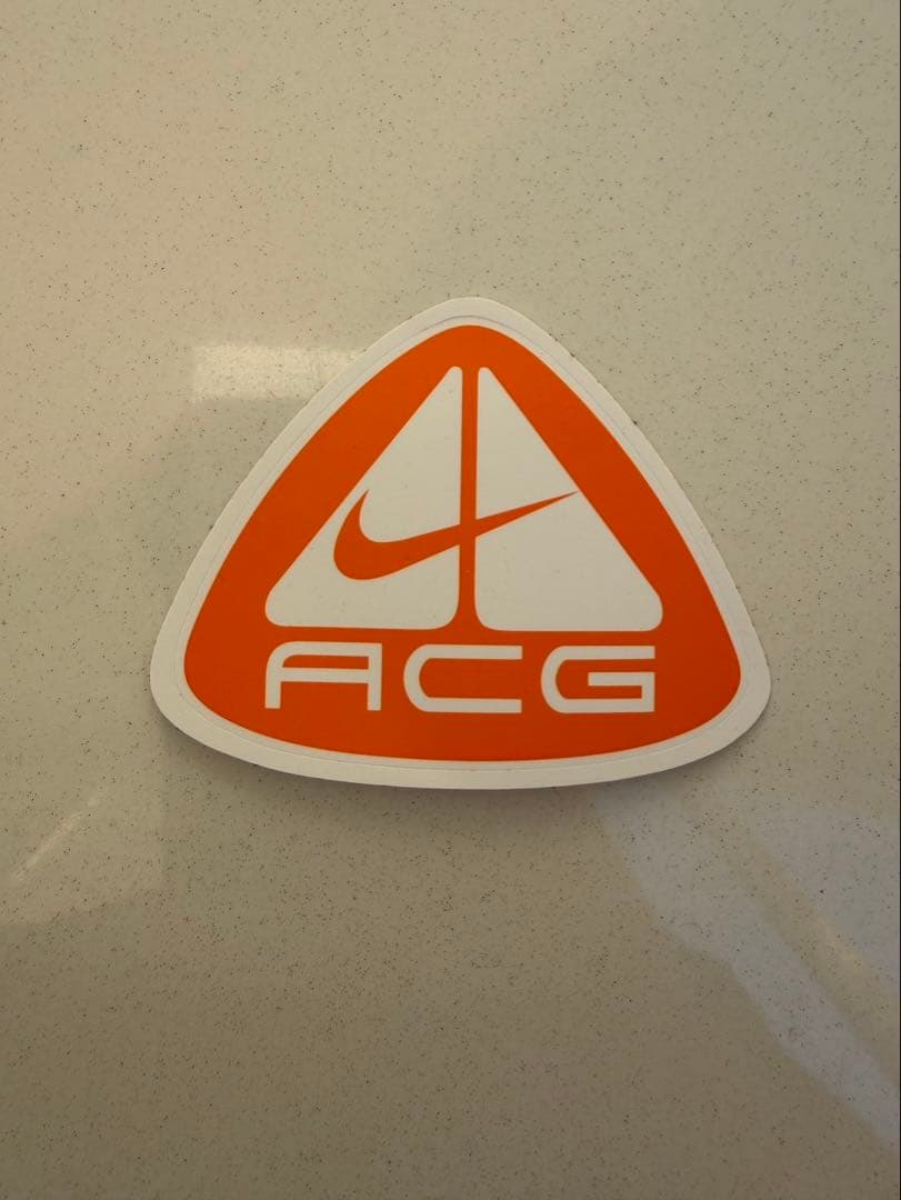 美品　未使用　NIKE ACG IZY モカシン ブラウン　29cm