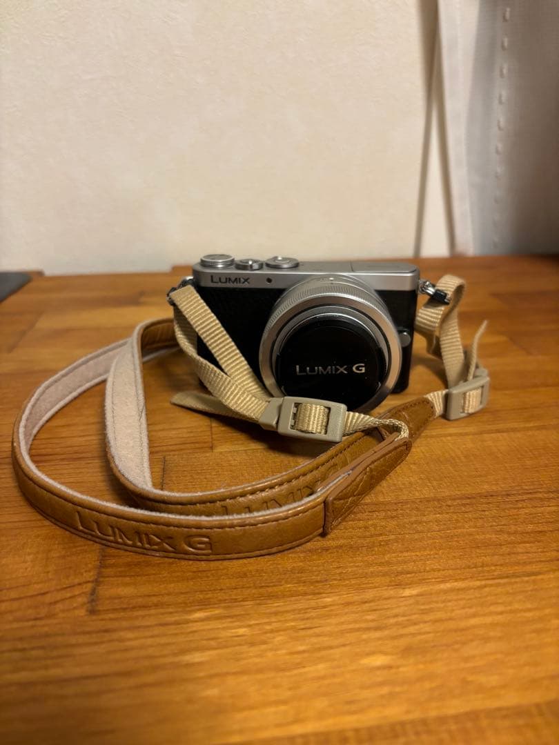 Panasonic デジタル一眼カメラ DMC-GM1K-S