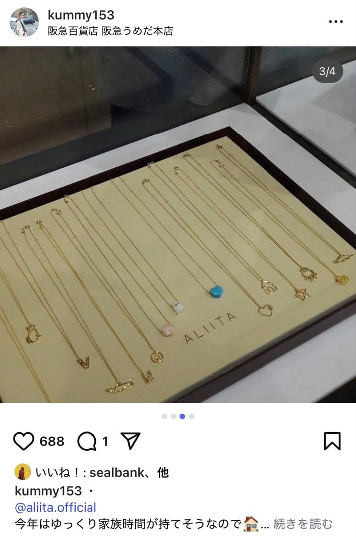 ヤ*す様 即購入OK 新品 aliita アリータ ハウス 家 ネックレス ルビ