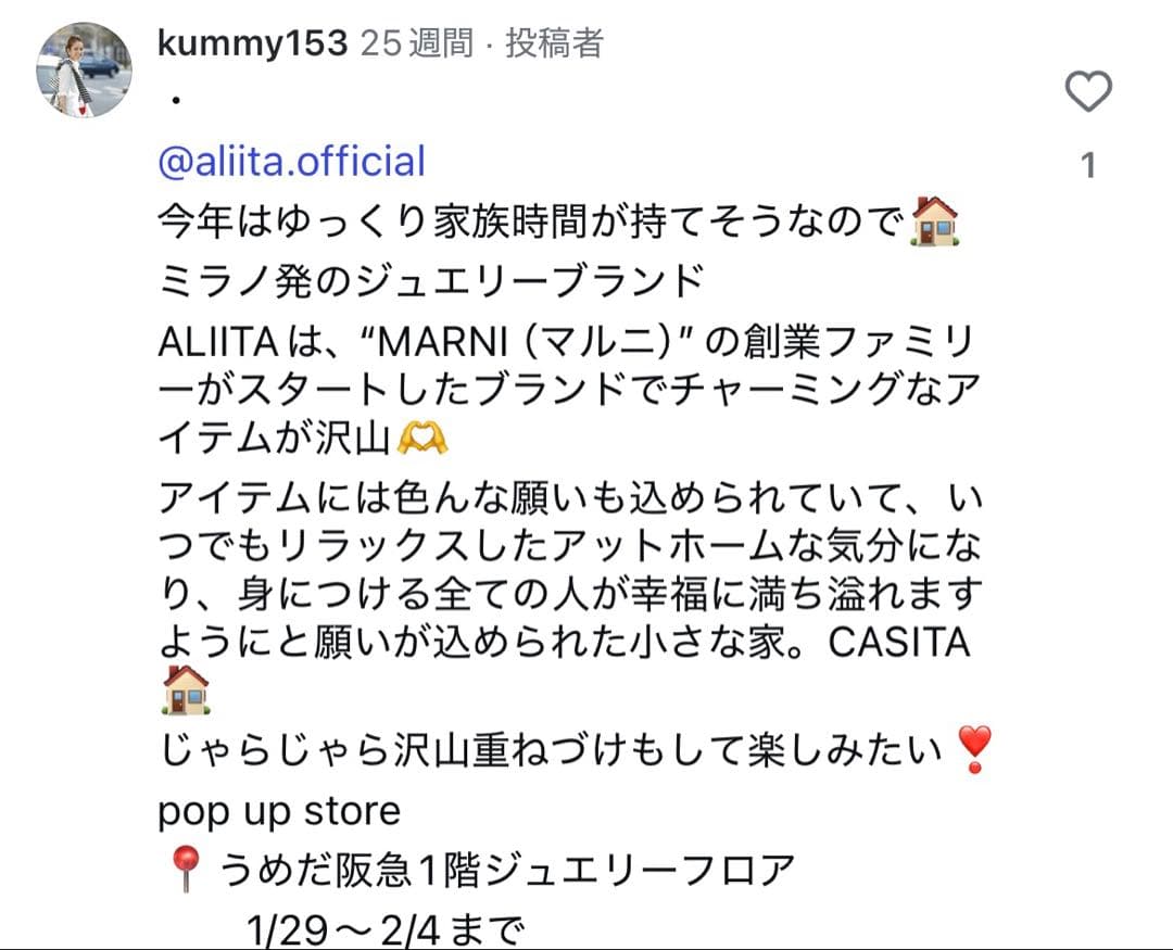 ヤ*す様 即購入OK 新品 aliita アリータ ハウス 家 ネックレス ルビ