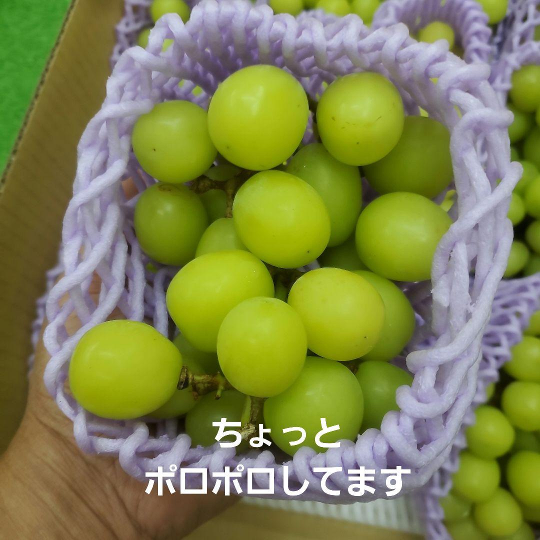 7️⃣ 山梨県産 シャインマスカット １２房入り 箱込み5.5キロ