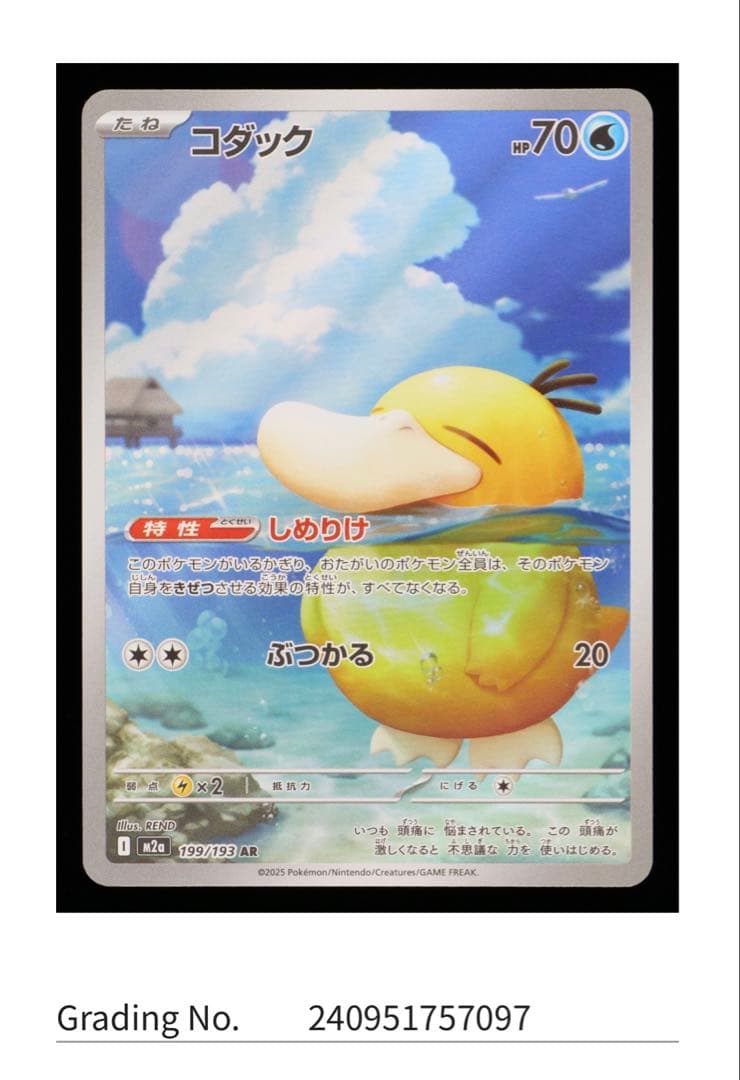 【*)様 【gemix10 BLACK】　コダックar M2a 199/193