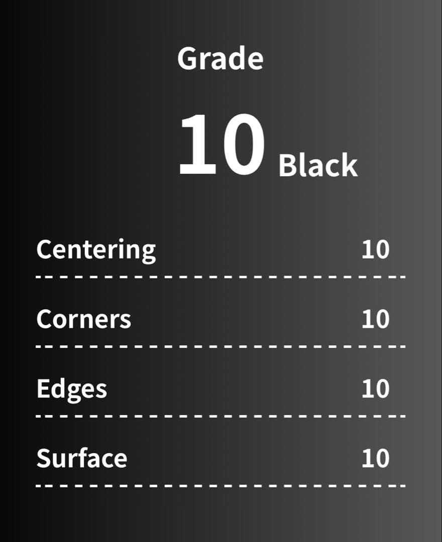 【*)様 【gemix10 BLACK】　コダックar M2a 199/193
