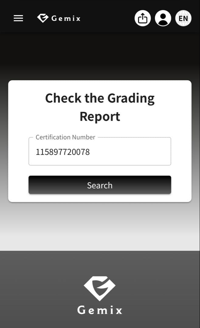 【*)様 【gemix10 BLACK】　コダックar M2a 199/193