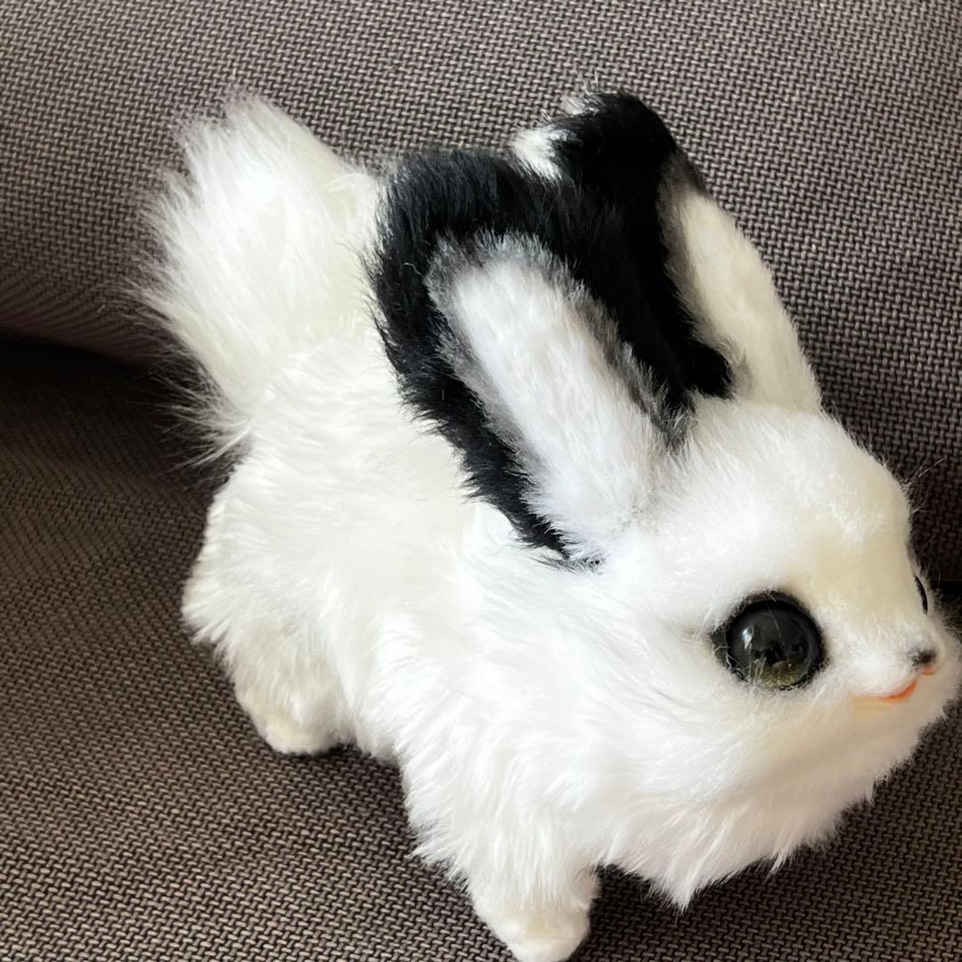 黎*様 作家様（テリトリドール様）アートドール　うみうさ