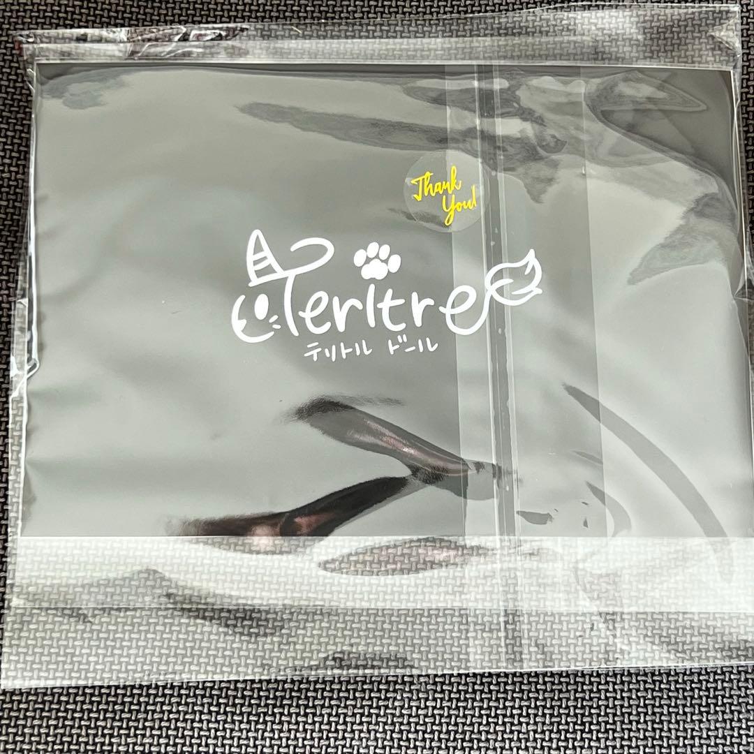 黎*様 作家様（テリトリドール様）アートドール　うみうさ