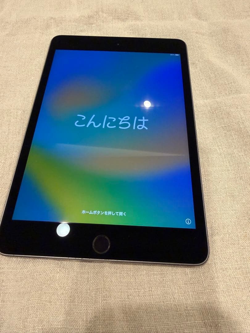 Apple iPadmini 第5世代 スペースグレー 本体 64GB WiFi
