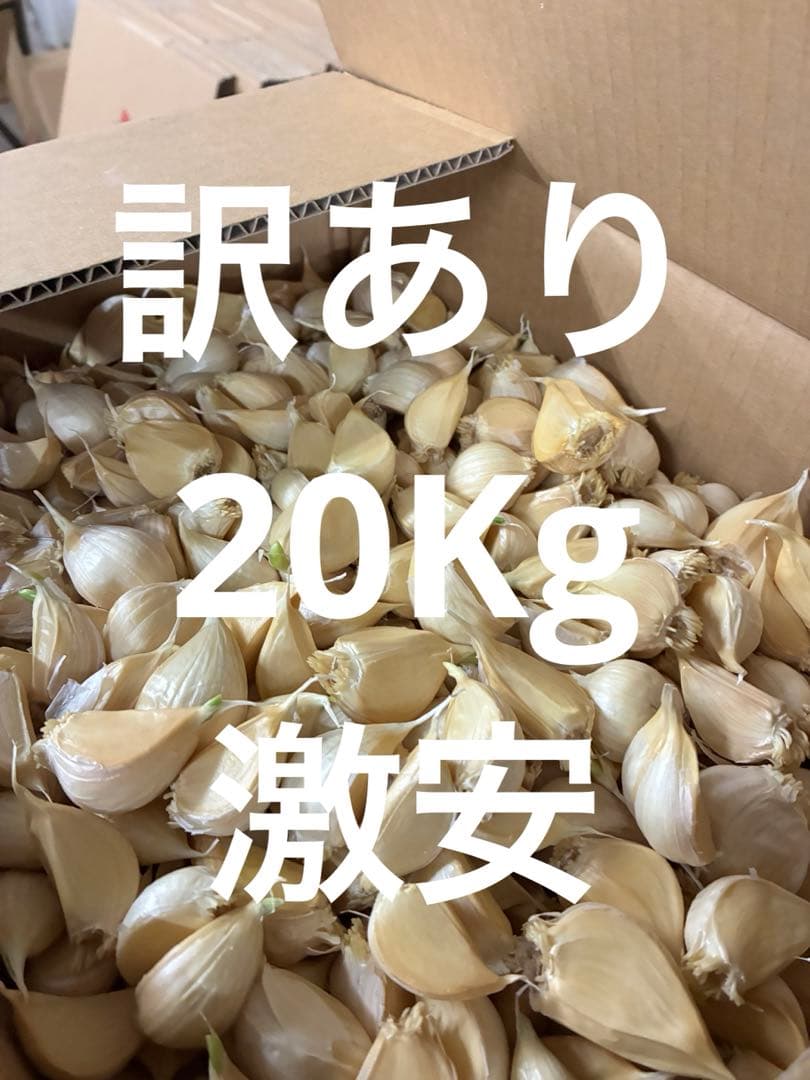 訳あり　青森県バラにんにく20Kg 芽あり