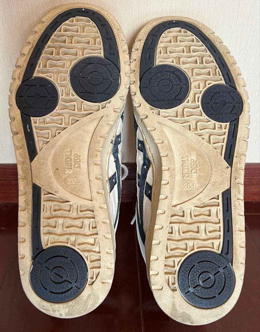 アシックス ファブレ ポイントゲッターS