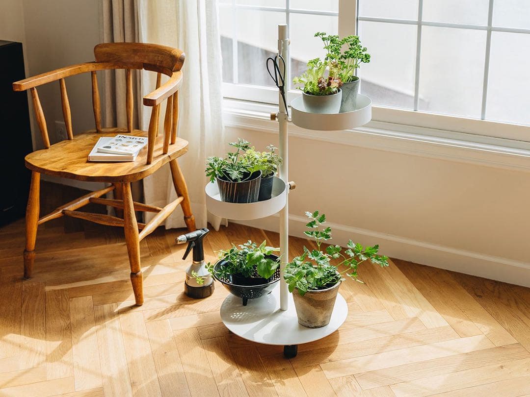 DRAW A LINE Moving Planter Rack Set ホワイト