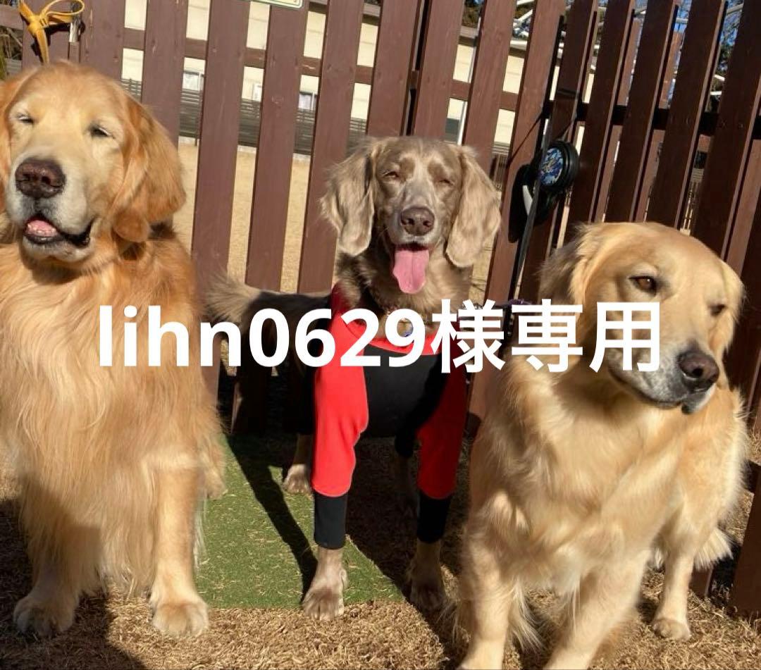 lihn0629,ALPHAICONダブルフルドックガードXL