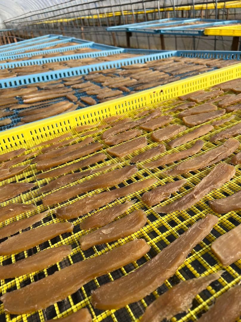 みんみんページ