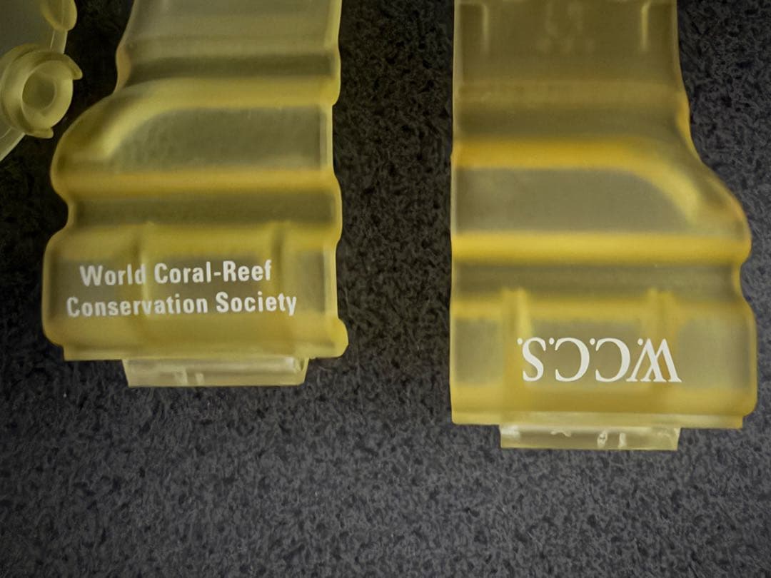 G-SHOCK FROGMAN DW-8200 フロッグマン ベゼル