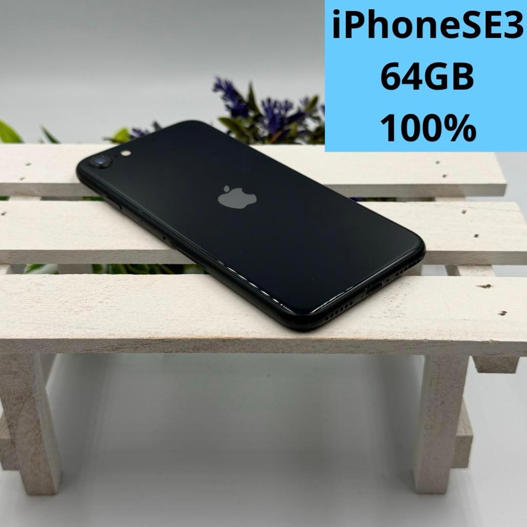 iPhone SE第3世代 64GB ミッドナイト 391