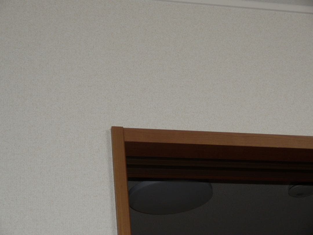 【オールドコンデジ】 OLYMPUS SH-21