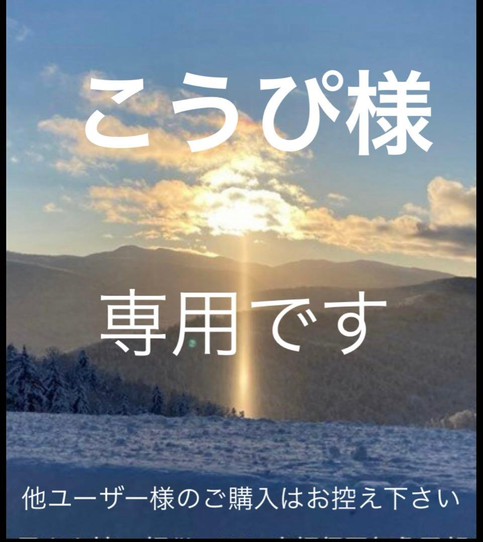 専用欄 正規品CHANELココマークフラワースウィングピアス