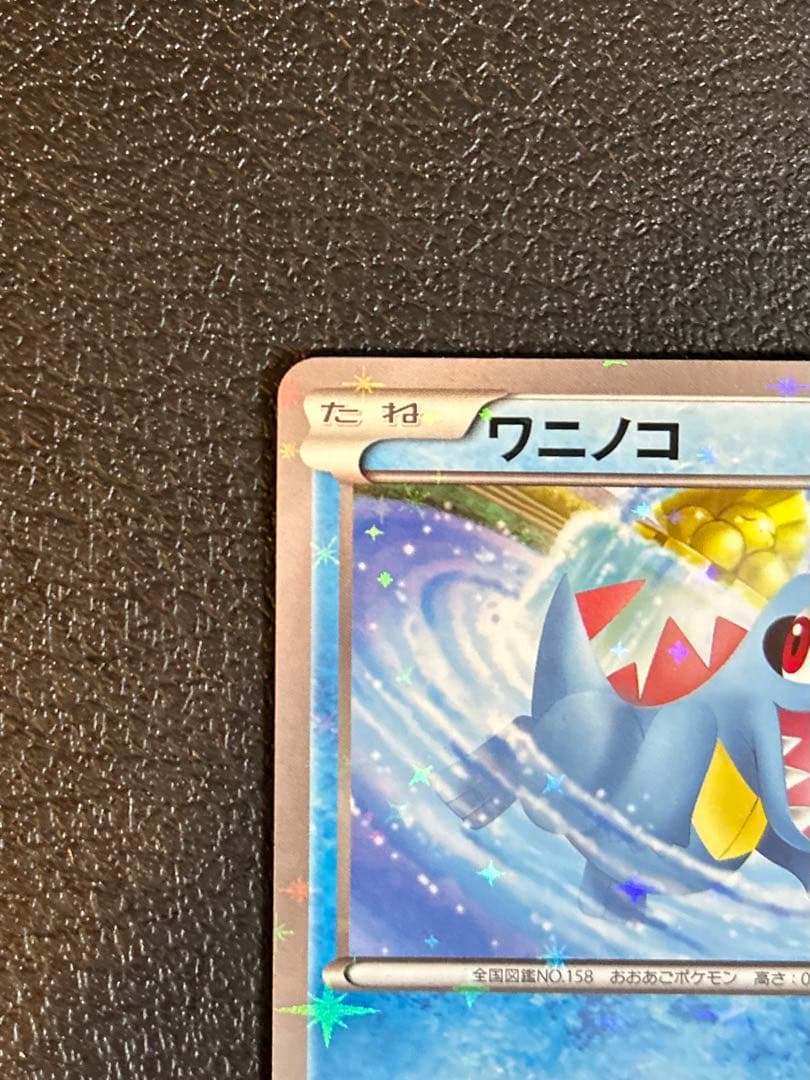 【レア】ワニノコSPプロモ ホウオウ+ルギア XYシリーズポケモンカード