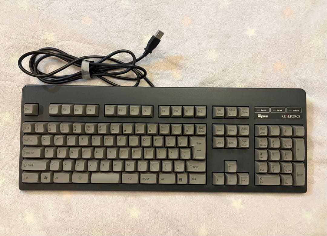 東プレ REALFORCE 108UG-HiPro YK0100