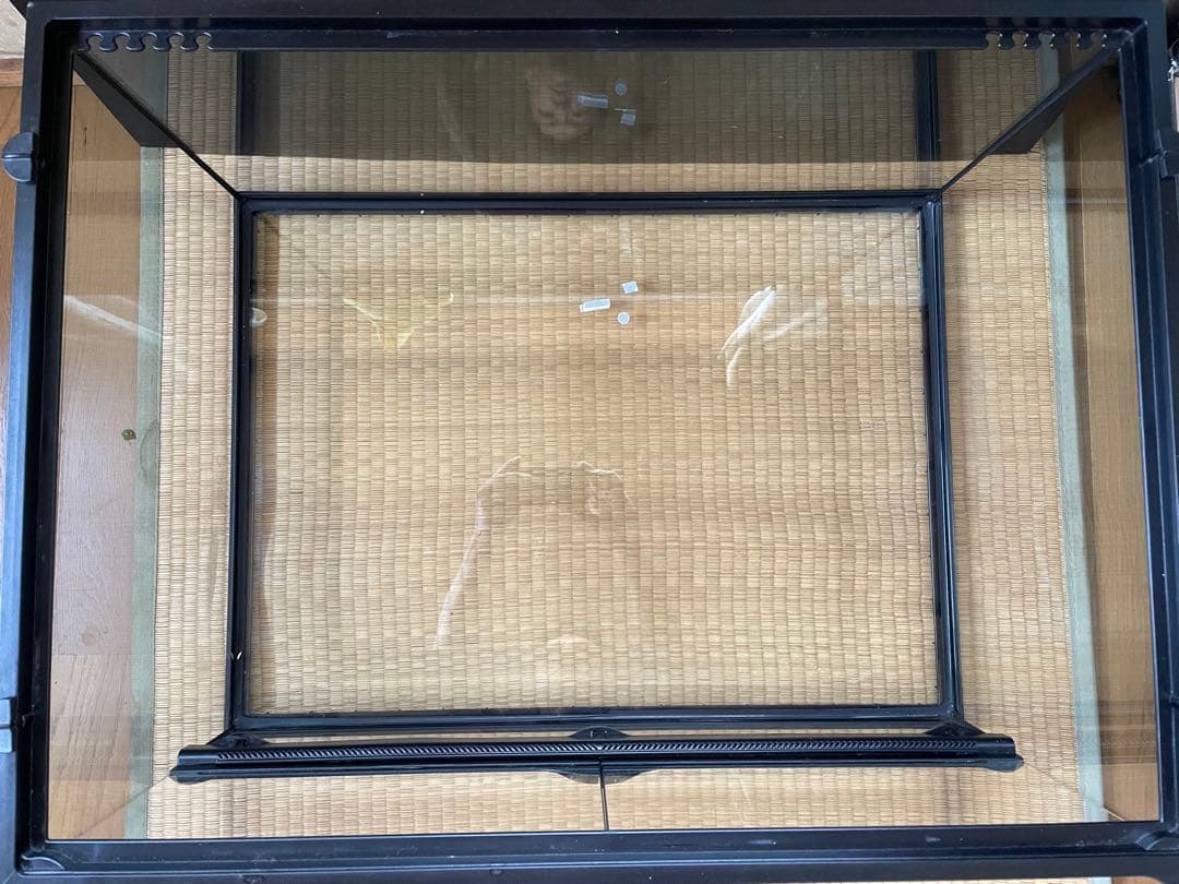 GEX グラステラリウム6030 爬虫類 ガラスケージ