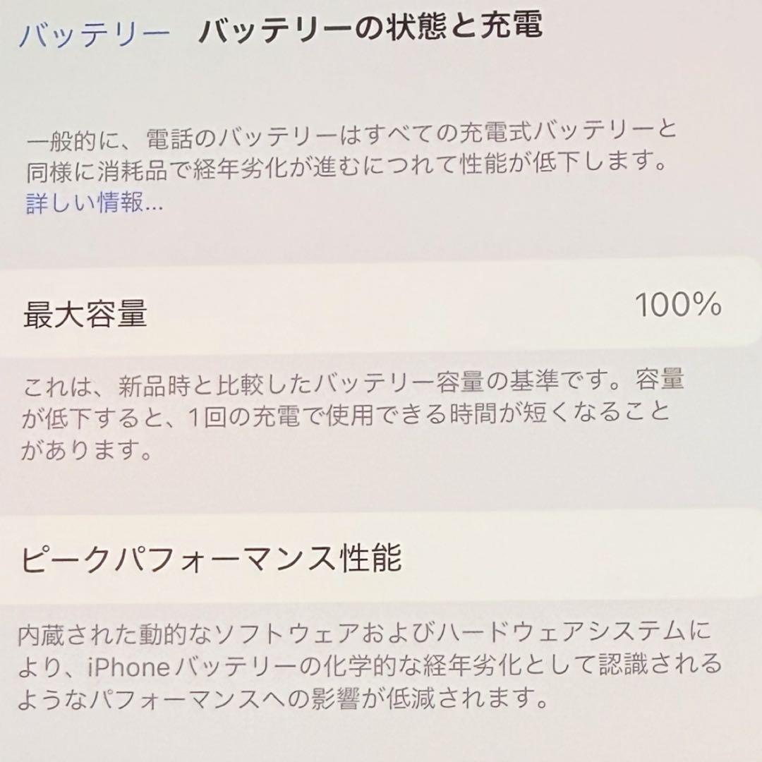 iPhone13 Pro Max 256GB グラファイト 新品同等品・保証あり