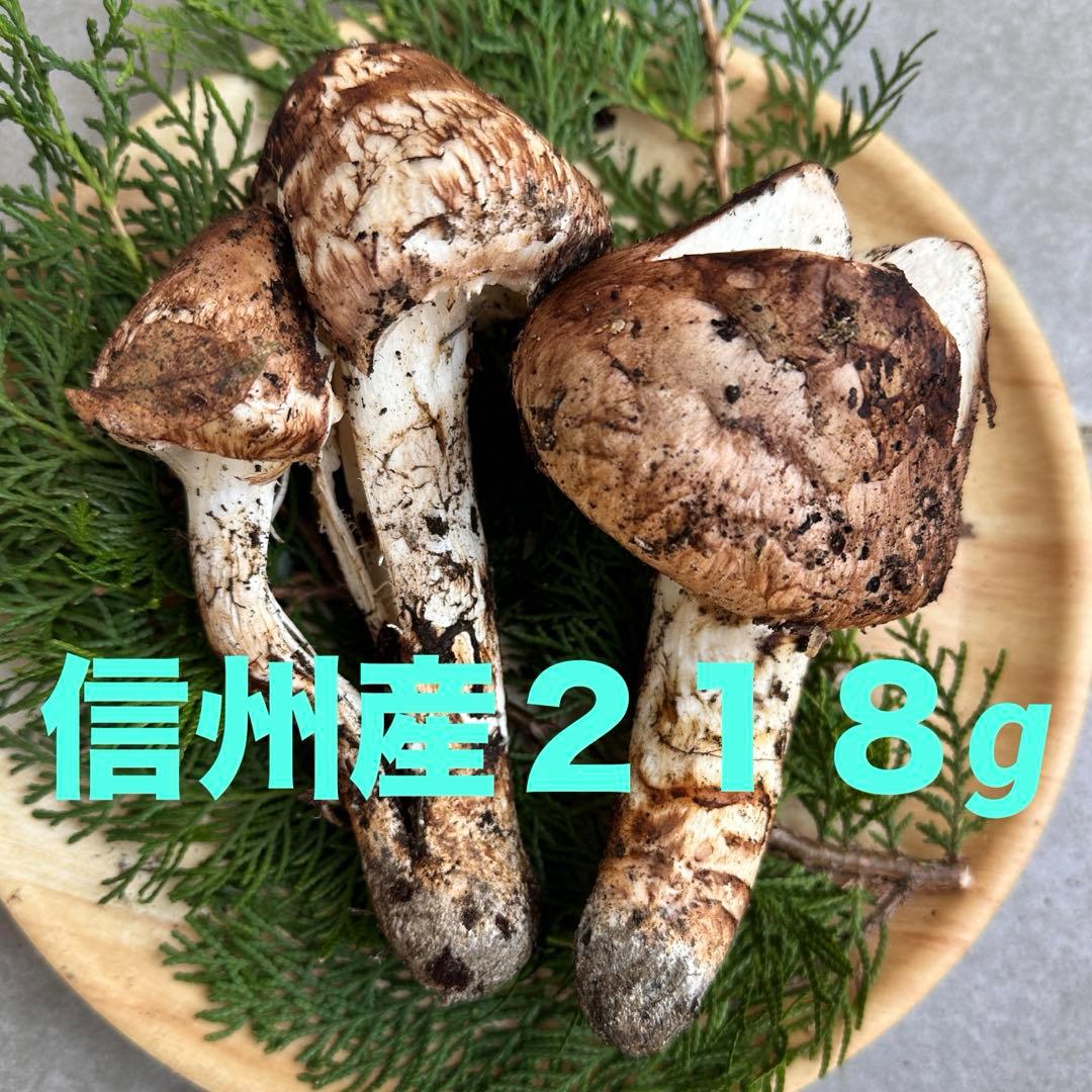 信州産松茸218g【訳あり】