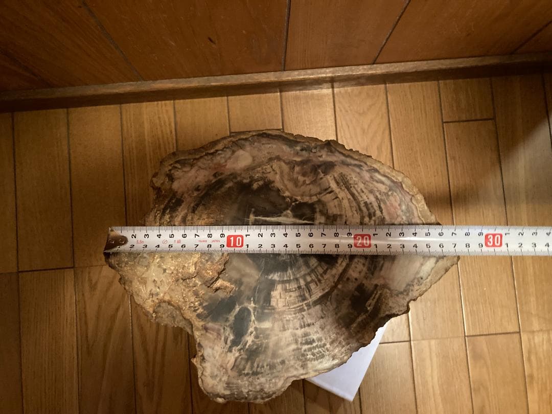 木化石　ブラジル産　30Kg弱くらい　珪化木 受け渡しも可能です