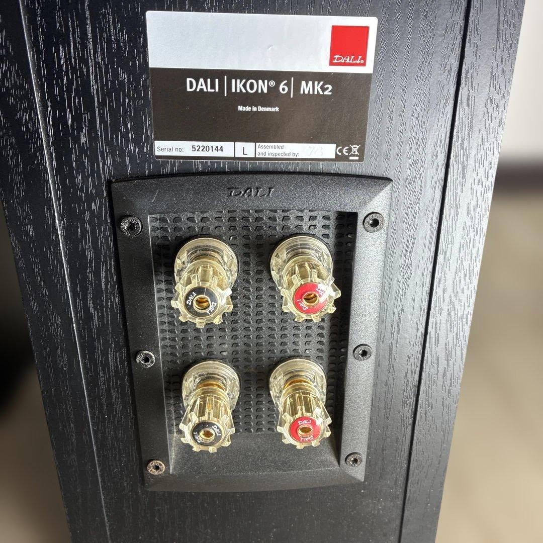 動作確認済みDALIトールボーイ型スピーカー「IKON 6 MK2」 ♣️0431
