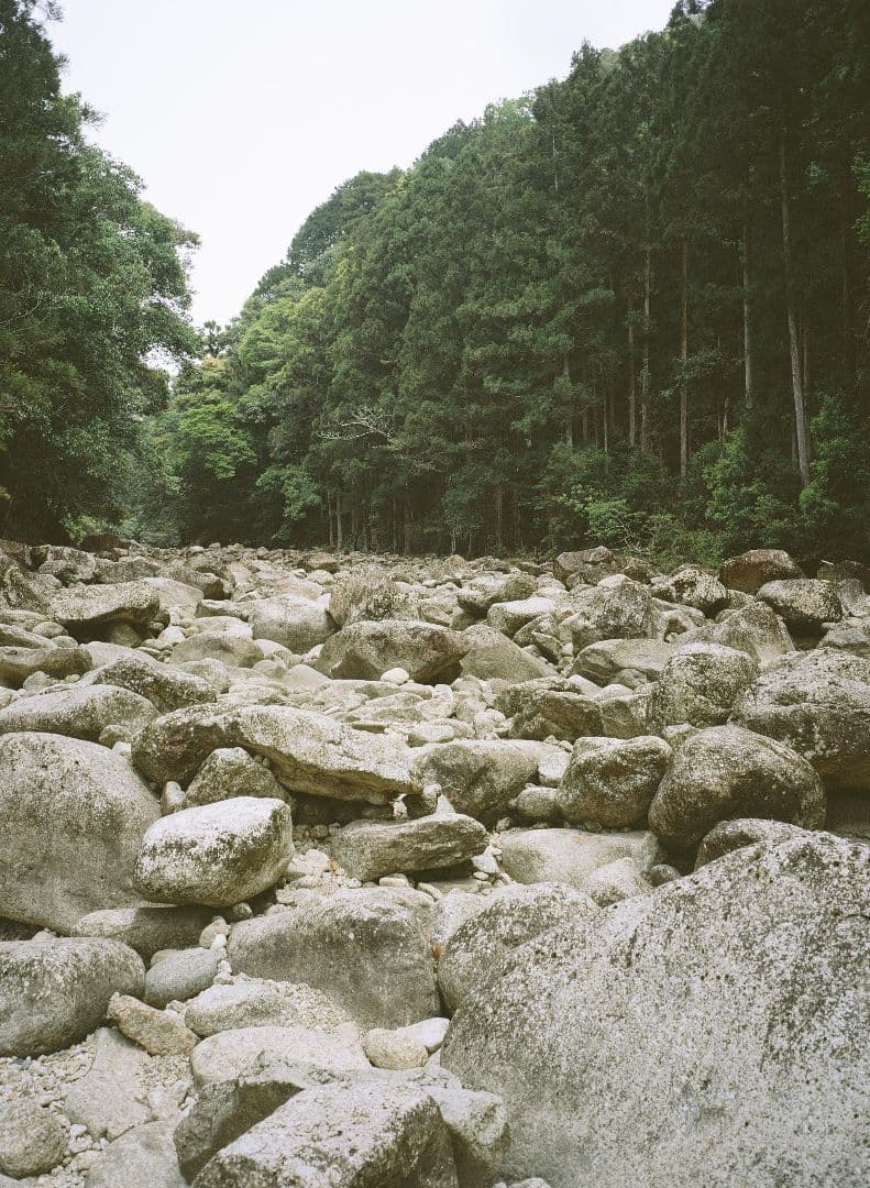 FUJICA GS645W 中判フィルムカメラ 完動品　作例アリ