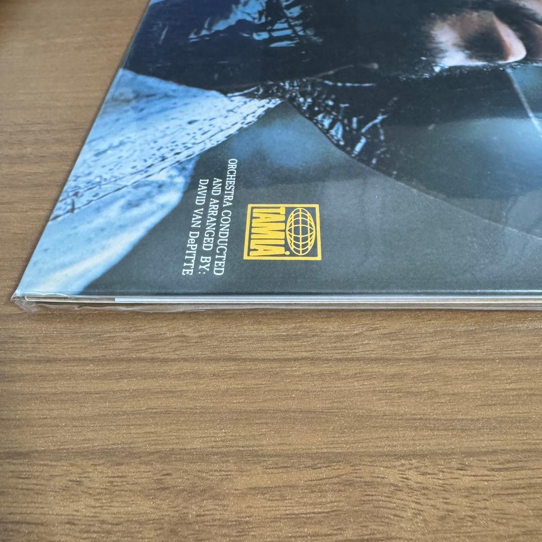 洋楽 MARVIN GAYE/WHAT'S GOING ON_DETROIT MIX