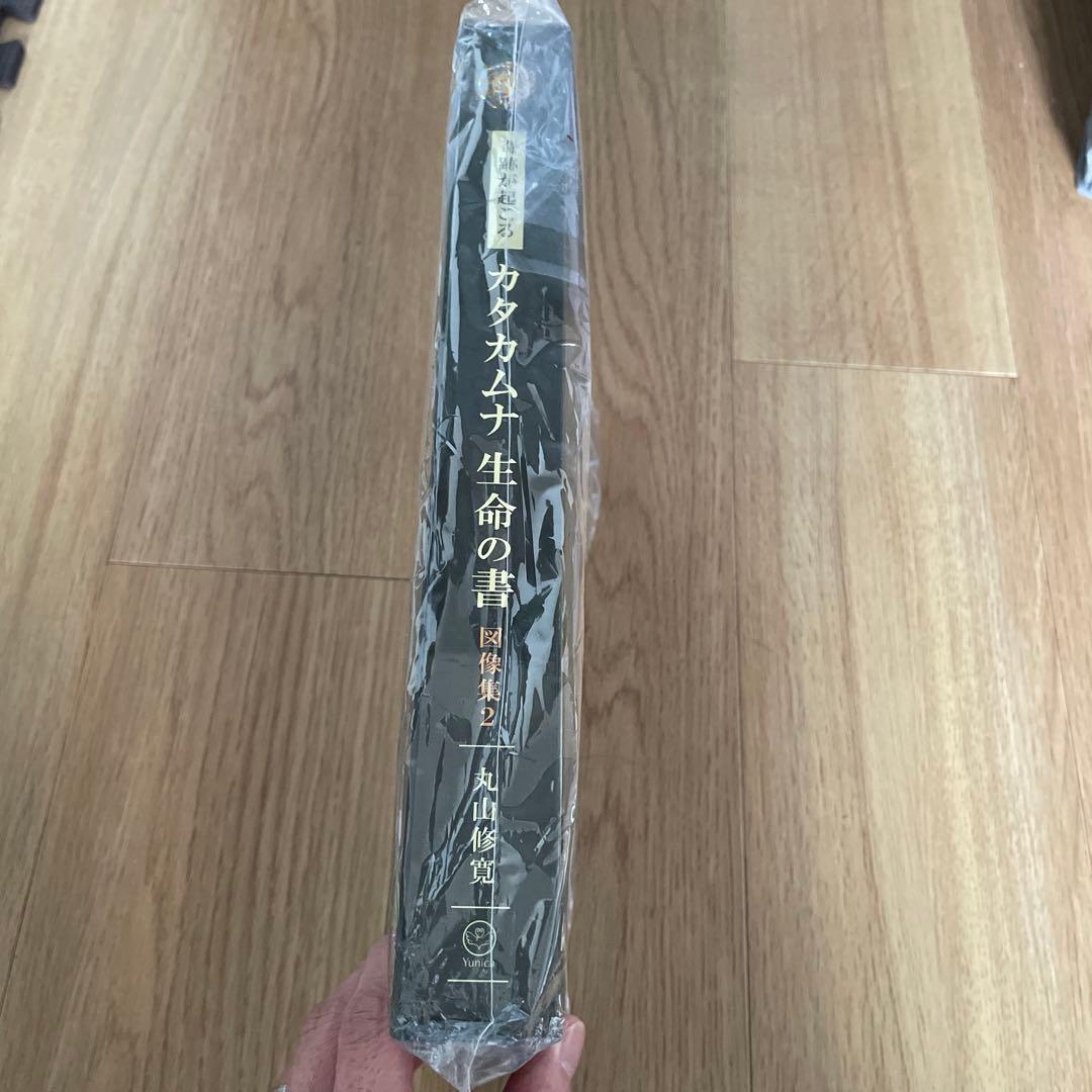 て*い様 カタカムナ生命の書 図像集2