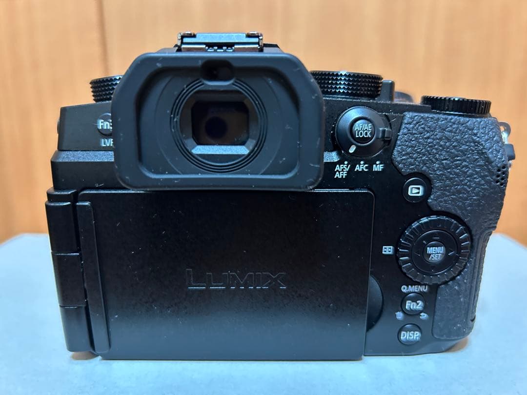 Panasonic LUMIX G99 II 本体・レンズ・箱付き