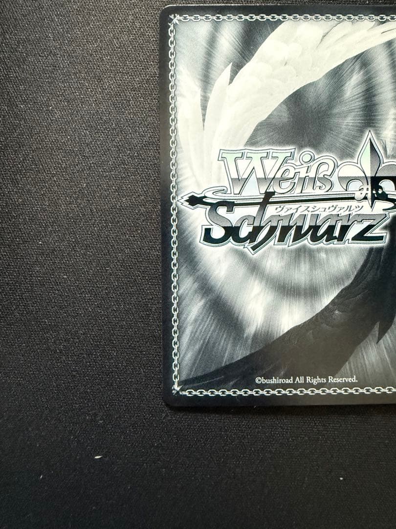 芽生えた信頼　中野五月　SSP