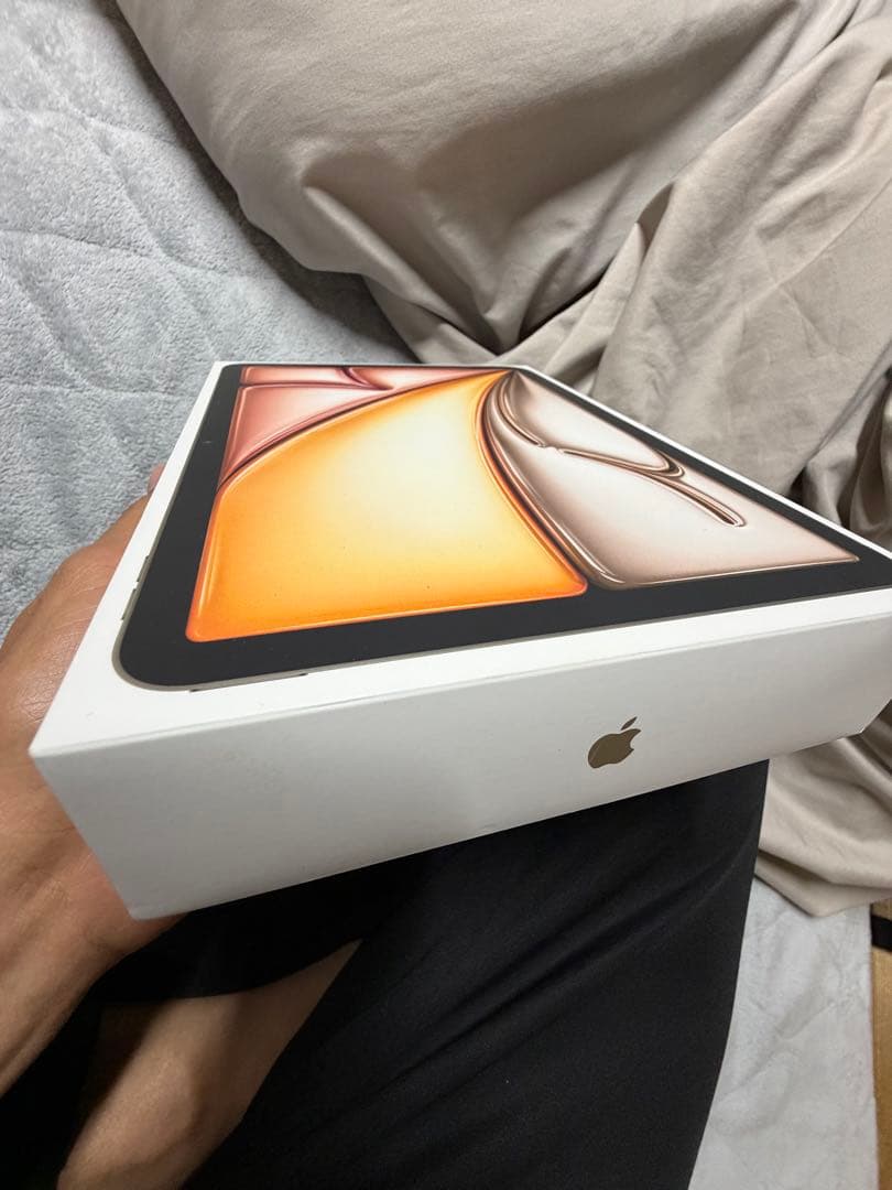 iPad本体 Ipad Air 11 inc M3 256gb (2025)