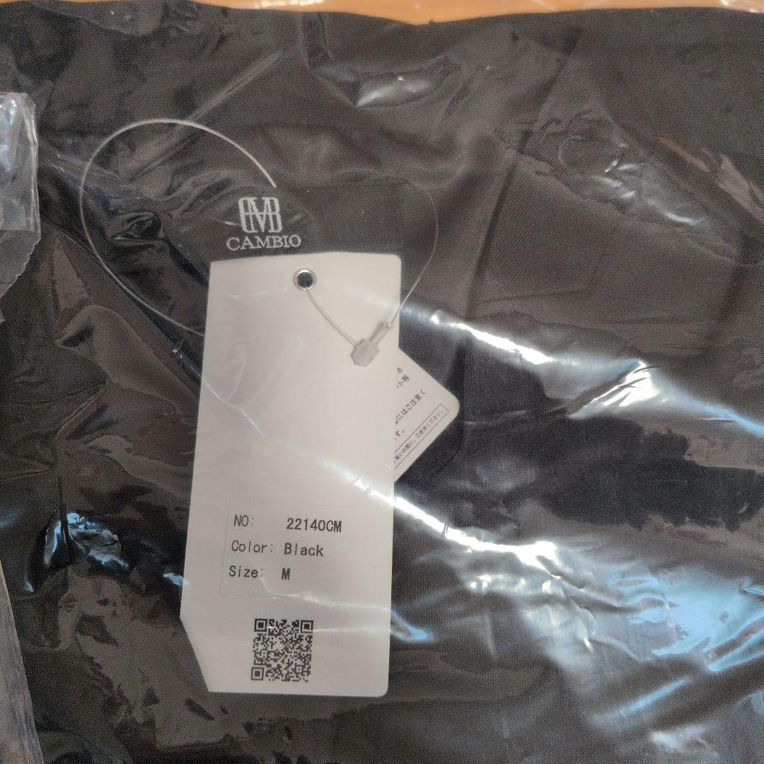 cambio セットアップ