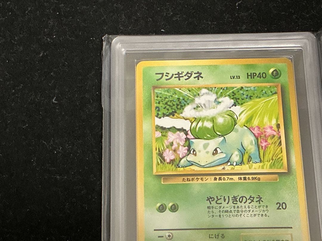 ars10 フシギダネ　　ヒトカゲ　旧裏　　第一弾