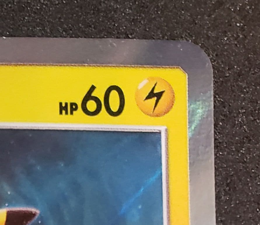 海で遊ぶピカチュウ: プロモ [SM-P 392]プロモーションカード「SM-P