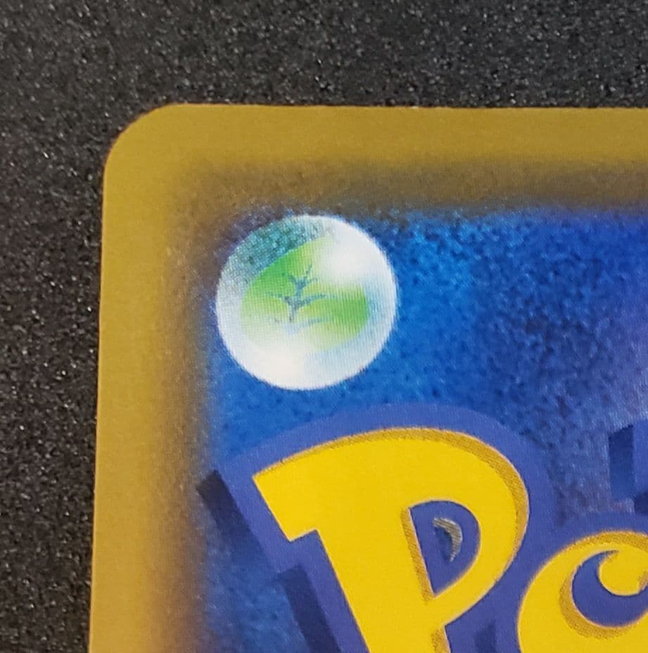 海で遊ぶピカチュウ: プロモ [SM-P 392]プロモーションカード「SM-P