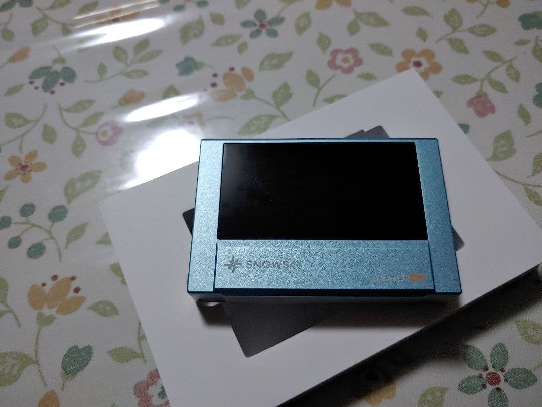 Fiio ehco mini ほぼ未使用