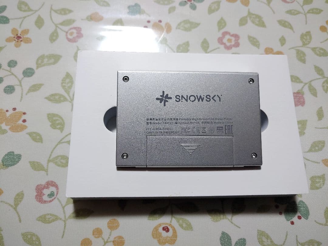 Fiio ehco mini ほぼ未使用