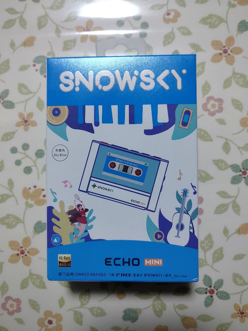 Fiio ehco mini ほぼ未使用