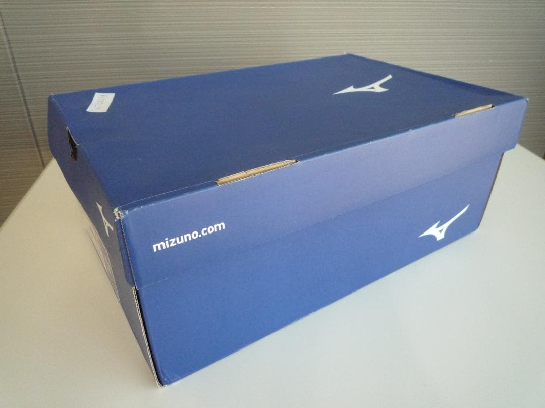 ミズノ ゴルフシューズ ウエーブケイデンス スパイクレス 3E メンズ スポーツ